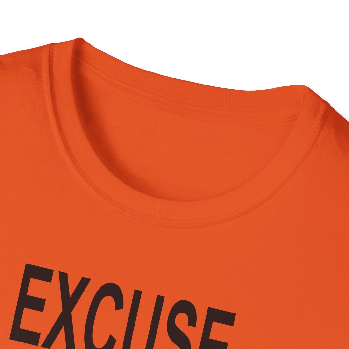 Excuse Me While I Succeed T-Shirt