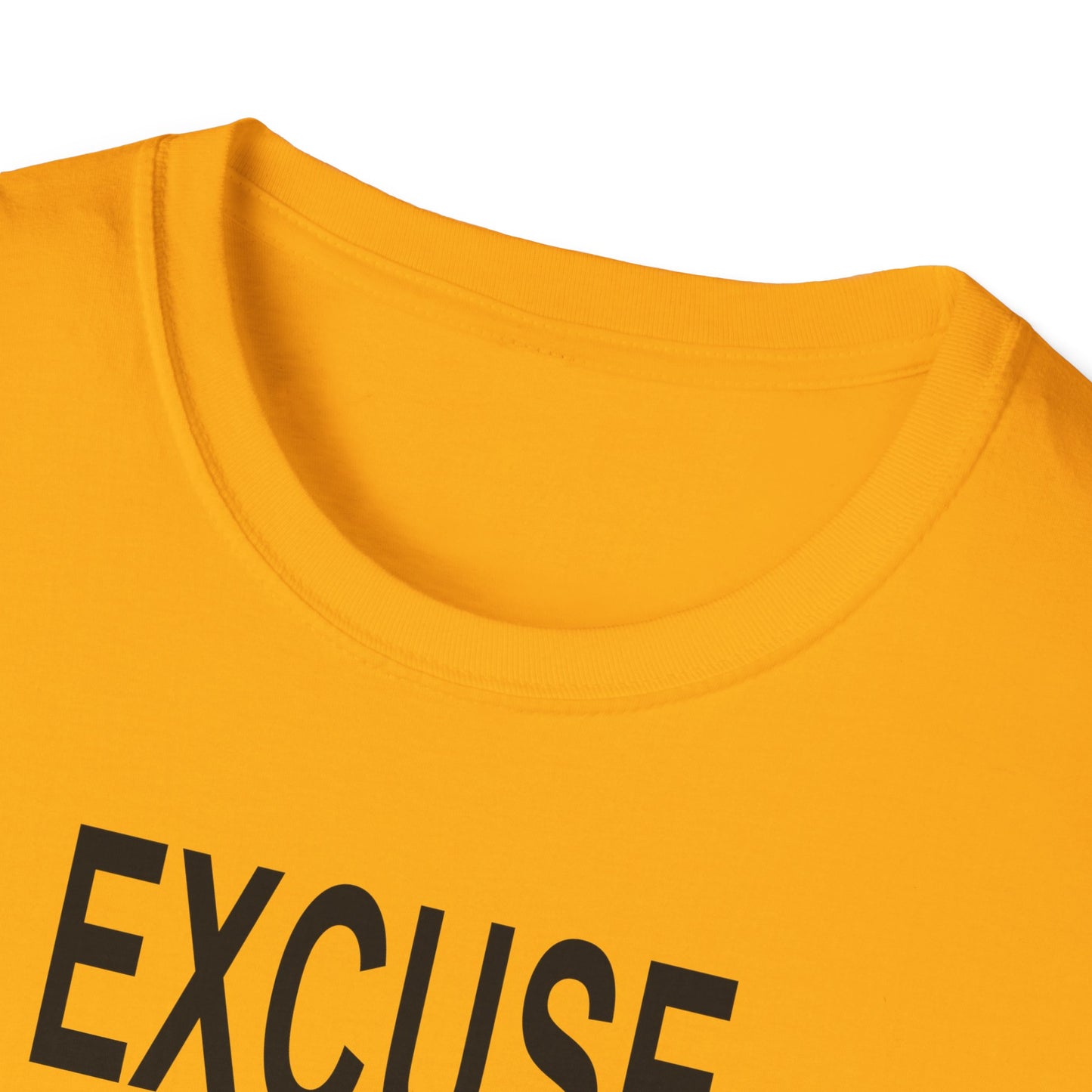 Excuse Me While I Succeed T-Shirt