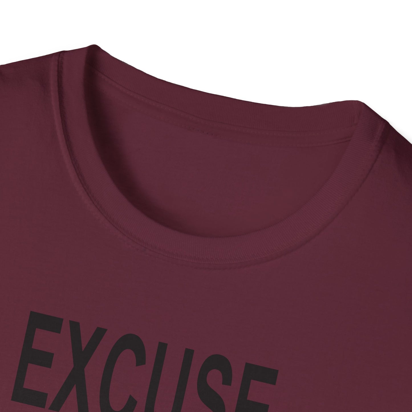 Excuse Me While I Succeed T-Shirt