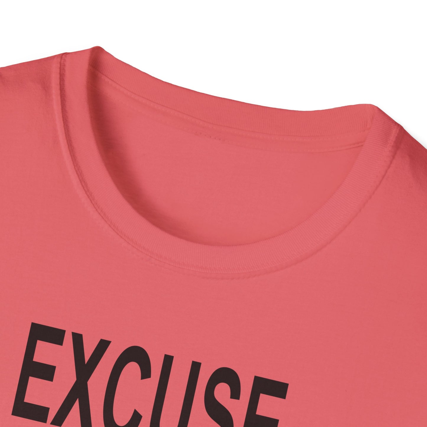 Excuse Me While I Succeed T-Shirt