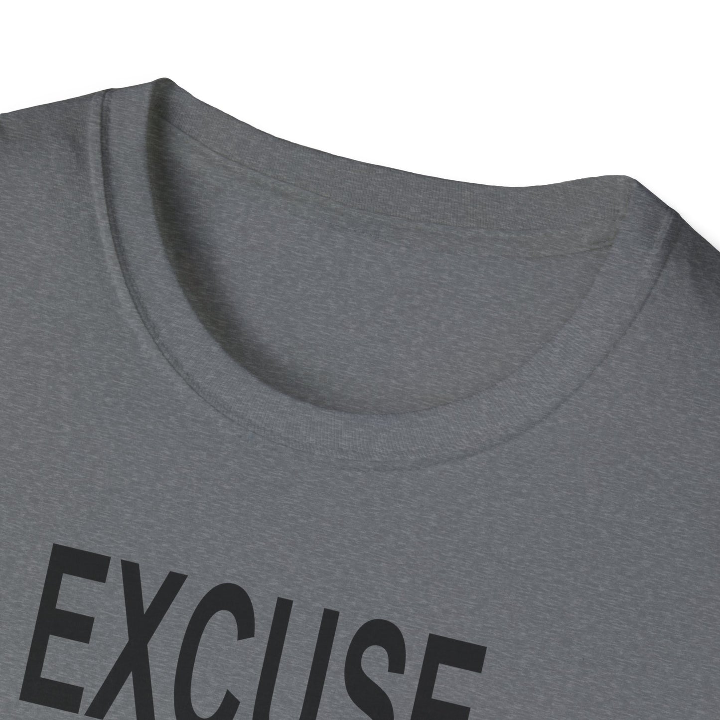 Excuse Me While I Succeed T-Shirt