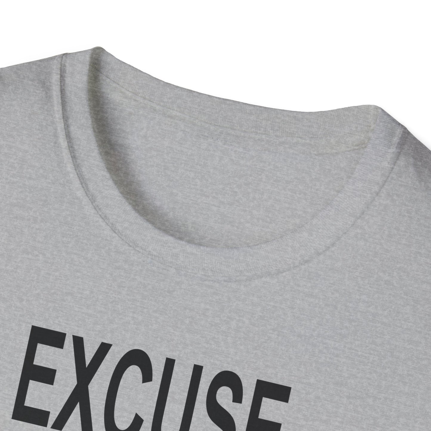 Excuse Me While I Succeed T-Shirt
