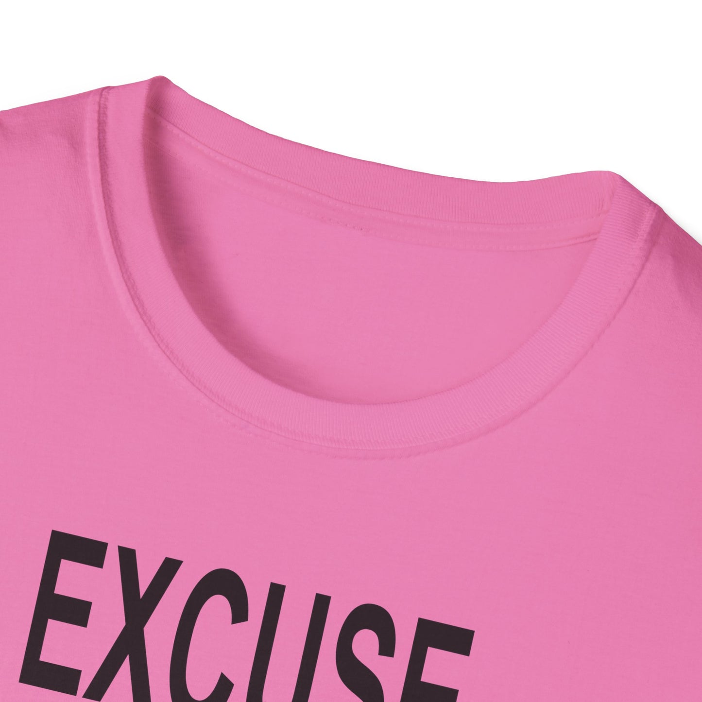 Excuse Me While I Succeed T-Shirt