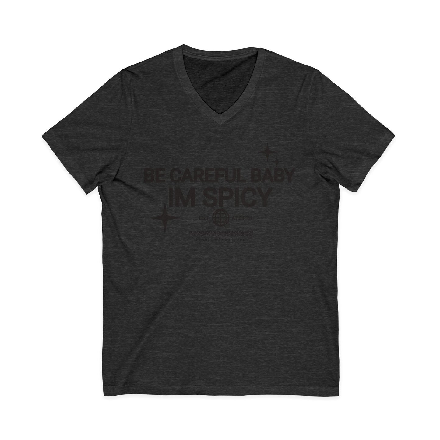 Be Careful Baby Im Spicy V-Neck Tee