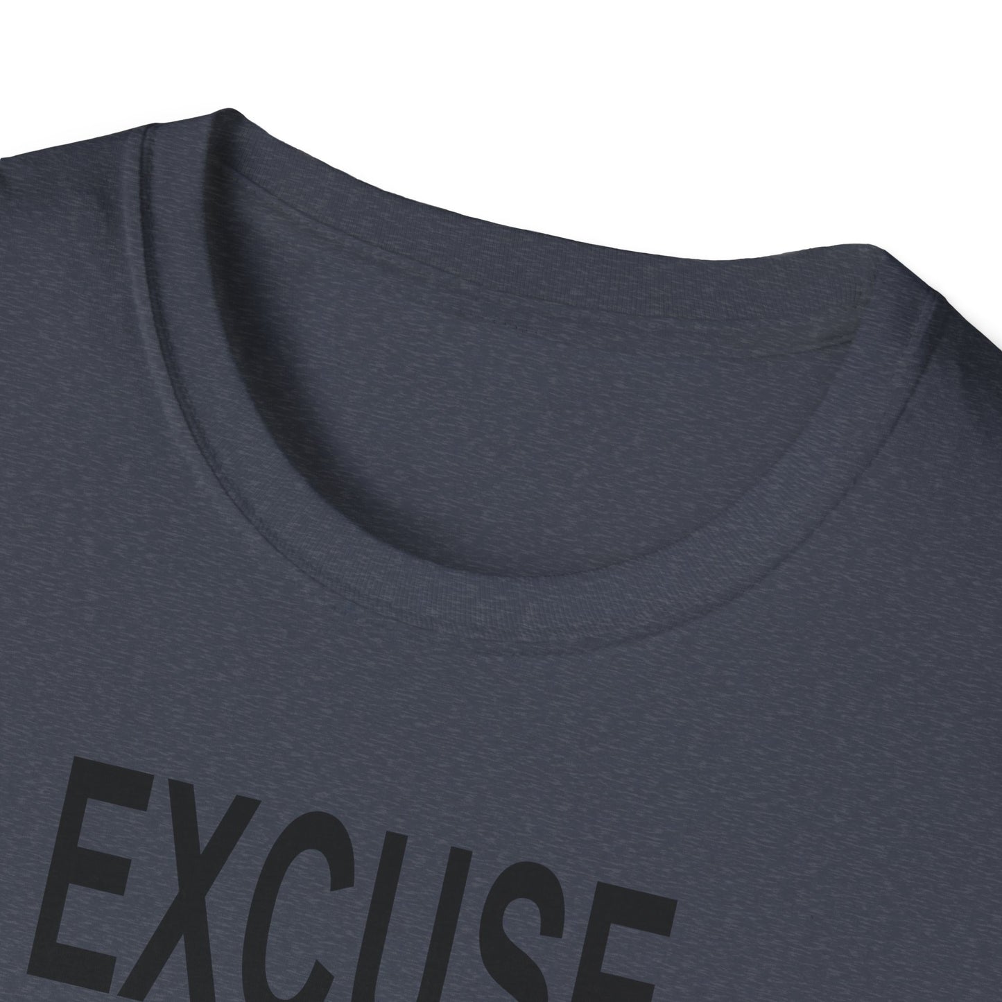 Excuse Me While I Succeed T-Shirt