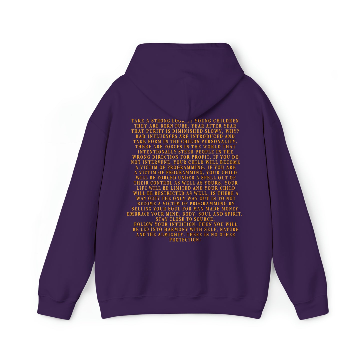 The Programmer and Controller Unisex Heavy Blend™ Hooded Sweatshirt