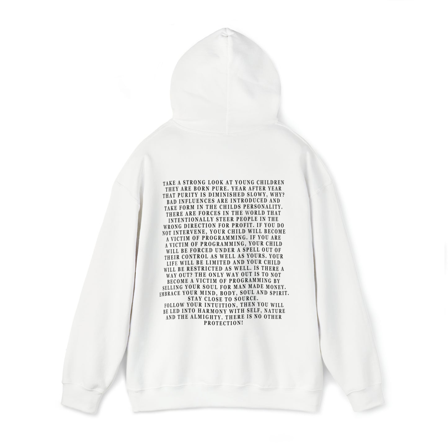 The Programmer and Controller Unisex Heavy Blend™ Hooded Sweatshirt