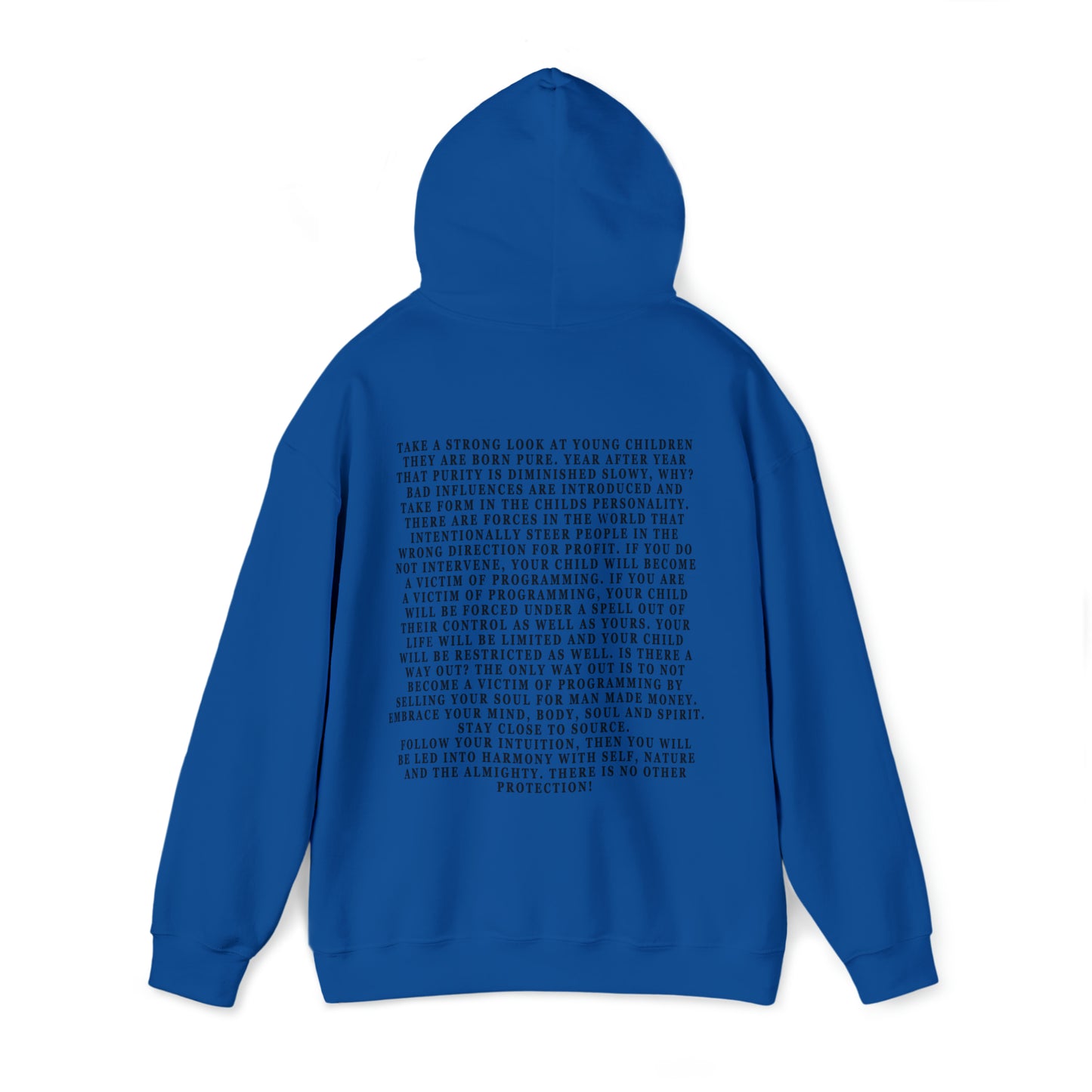 The Programmer and Controller Unisex Heavy Blend™ Hooded Sweatshirt