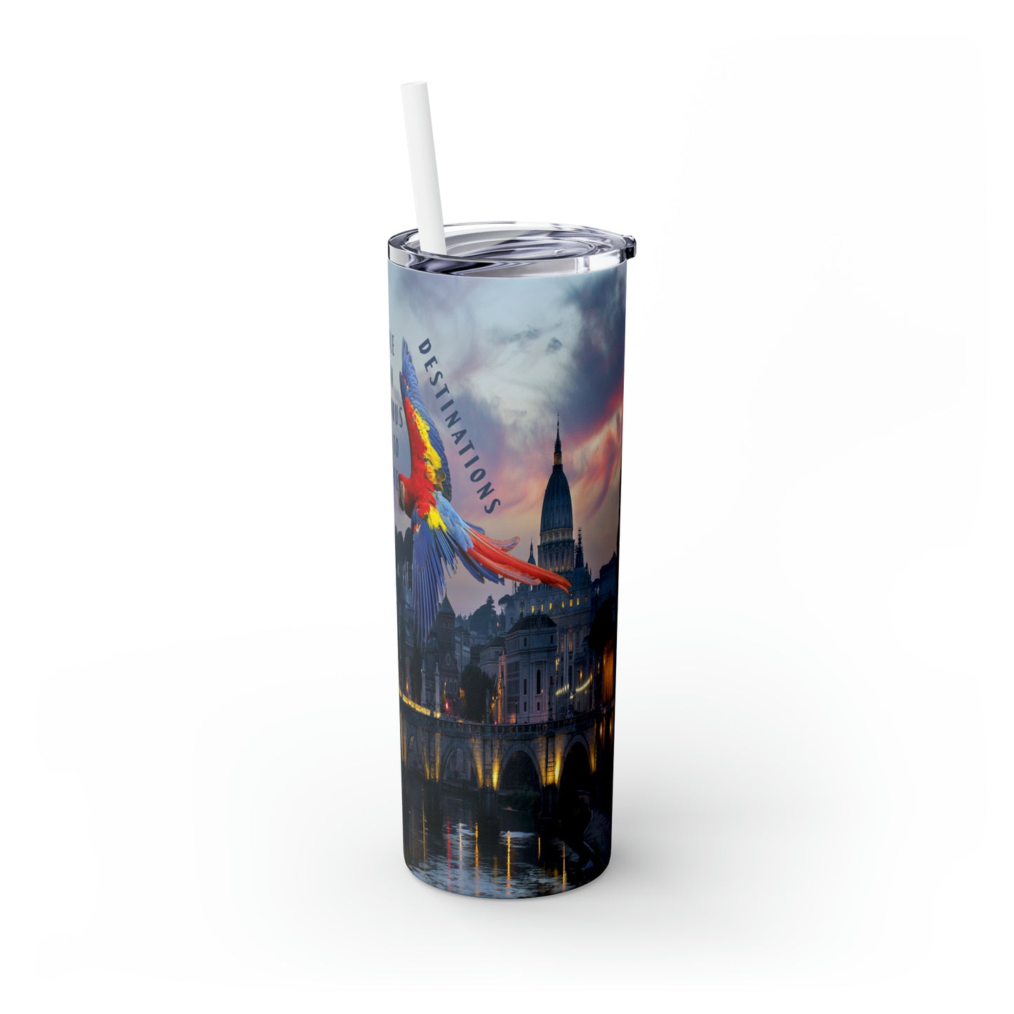 Heavenly Destinations Skinny Tumbler with Straw, 20oz